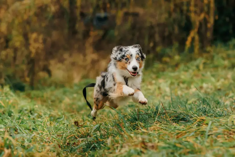 Фото Прекрасная Мона для фото и видео съемок