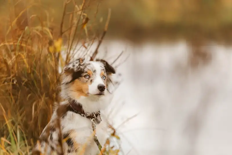 Фото Прекрасная Мона для фото и видео съемок