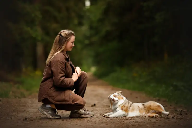 Фото Собака для съемок