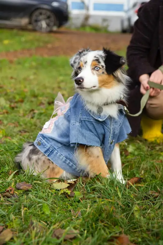 Фото Прекрасная Мона для фото и видео съемок