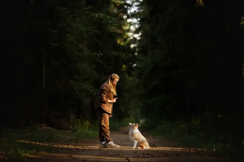 Фото Собака для съемок