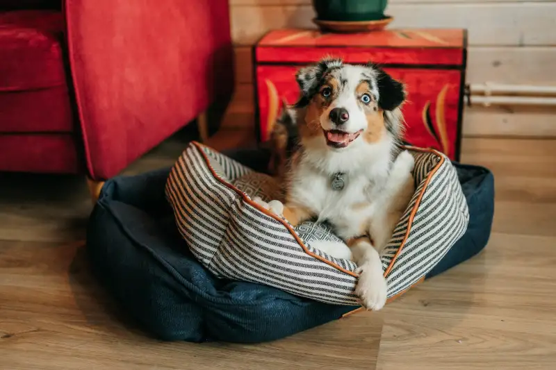 Фото Прекрасная Мона для фото и видео съемок