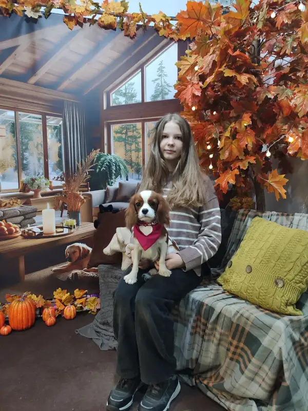 Фото Собака для съемки рекламы