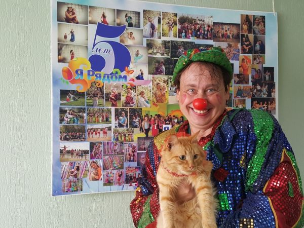 Фото Дрессированные кошки для съёмок