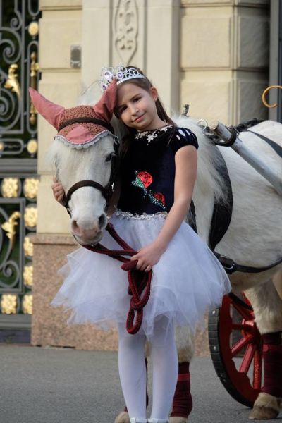 Фото Лошади и пони для сьемок