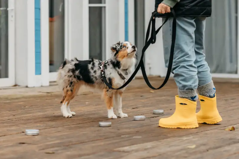 Фото Прекрасная Мона для фото и видео съемок