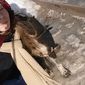 Елизавета Алексеевна Прусакова фото №1000356