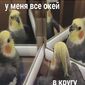 Ксссс  Алло фото №1500080