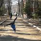 Никита Алексеевич Рахимов фото №643072