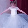 Милана  Данигевич фото №1874100