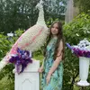 Александра  Тимонина фото №1861861