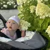 Анна  Михайлова фото №1957451