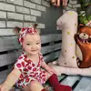 Ева  Зелендинова фото №1957800