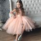 Дарья Алексеевна Дубровина фото №1154289