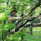 Иван Владимирович Ермаков фото №877718