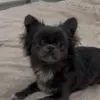 Анна  Новикова фото №1921161