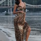 Anila  Brown фото №536675