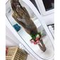 Виктория Андреевна Аншакова фото №1123905