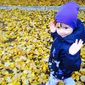 Никита Романович Дубровский фото №1266407