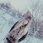 Екатерина Евгеньевна Прохорова фото №673972