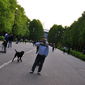 Александр Андреевич Пухкало фото №1325921