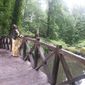 Інна Володимирівна Петрусь фото №722352