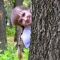 Анна Юрьевна Ботезату фото №412844