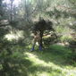 Елена Александровна Гришанова фото №337176