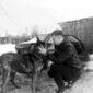 Андрей Яковлевич Каршанинников фото №1492182
