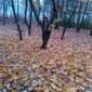 Карина Николаевна Строценко фото №1123257
