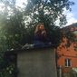 Ника  Сергеевна фото №960149