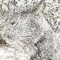 Федор Феликсович Башмаков фото №989454