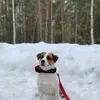 Ника  Русскова фото №1923379