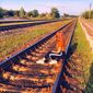 Дарья Игоревна Яковлева фото №1590786