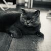 Евгений  Жданов фото №1619374