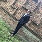 Владислав Юрьевич Милькин фото №1571325