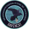 Студия озвучания RavenCat   фото №1936358