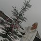 Елена Витальевна Шакирова фото №128400