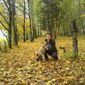 Александр  Чирков фото №595333