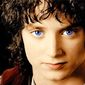 Фродо Хоббитович Бэгенс фото №640358
