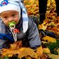 Сурков Александр Андреевич фото №94944