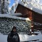 Анна Борисовна Брюшкова фото №1288228