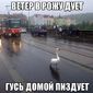 Валерий  Владимирович фото №789434