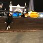 Нозанин Зокирзода Бозорова фото №1423532
