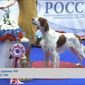 Полина  Кондрашкина фото №770707