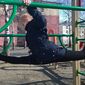 Дарья Дмитриевна Хрипкова фото №1258187