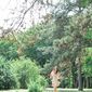 Кристина Сергеевна Вербицкая фото №680798