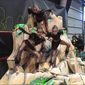 Надежда Александровна Иванова фото №1076039
