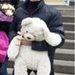 Дмитрий  Сторчеус фото №1117871