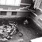 Константин Викторович Филимонов фото №1580851